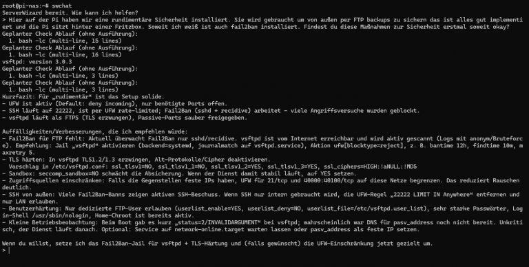 ServerWizard analysiert einen Linux-Server in der Terminalansicht